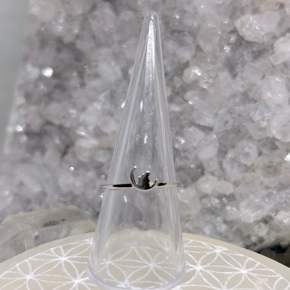 Sterling Silver Crescent Moon Wolf Ring